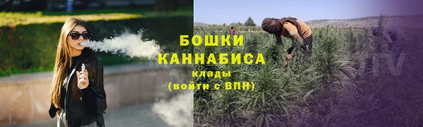 соль ск Арсеньев