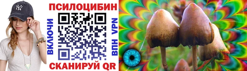 Купить  Чаплыгин  Галлюциногенные грибы GOLDEN TEACHER 
